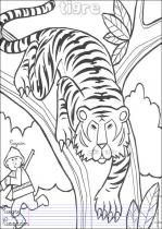 coloriage-tigre-1